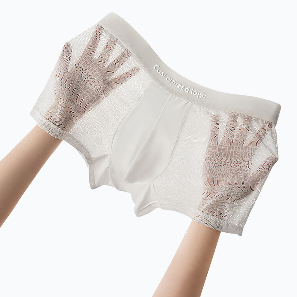 Men's Lace Mesh Boxer Briefs - Image 1