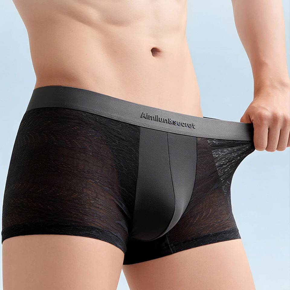 Men's Lace Mesh Boxer Briefs - Image 4