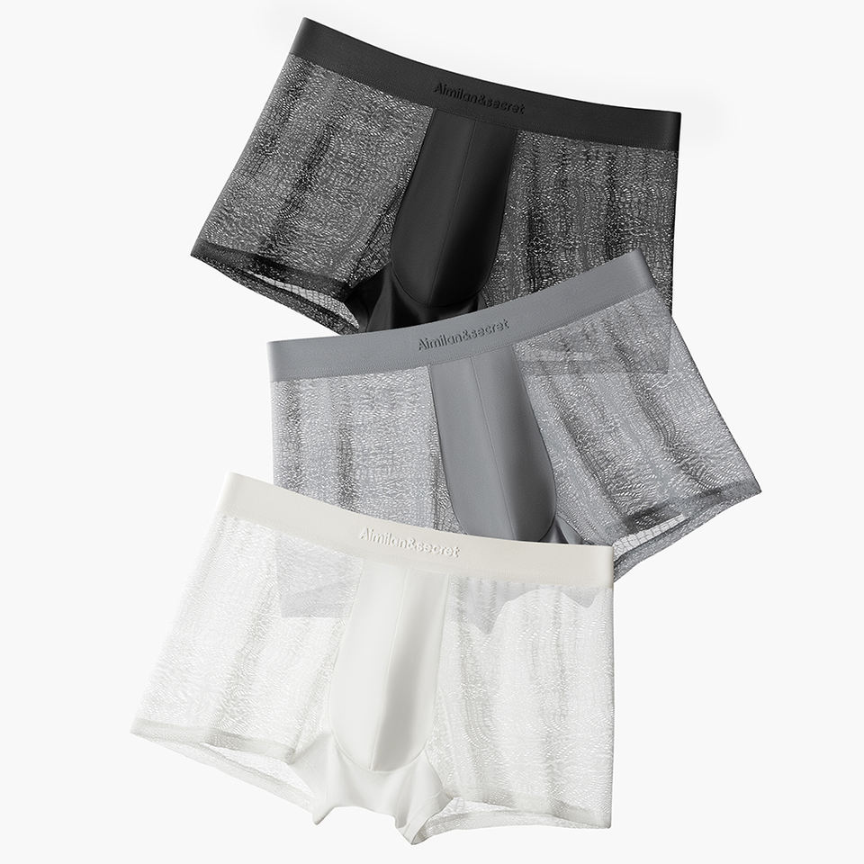 Men's Lace Mesh Boxer Briefs - Image 5