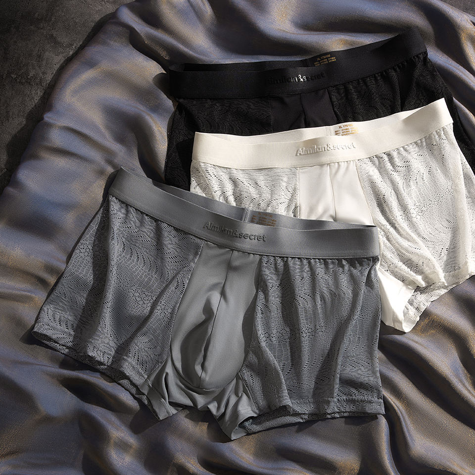 Men's Lace Mesh Boxer Briefs - Image 6